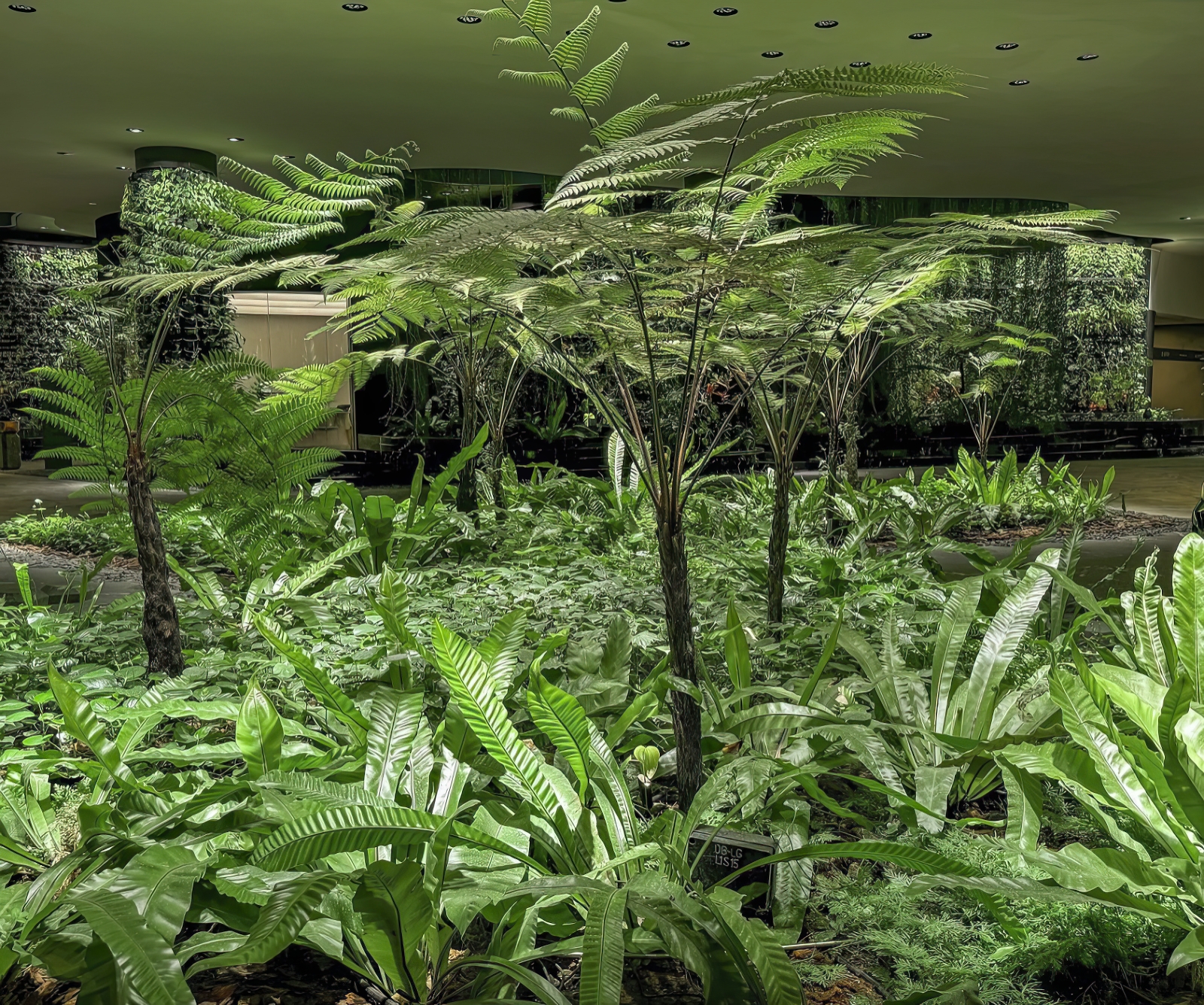 國際獎項代辦｜屋中盡藏銀河星系！藝術工作室Lucent Design Inc.創造室內天文新體驗，斬獲2024 瑞士 LIT 年度藝術性燈光大獎-8