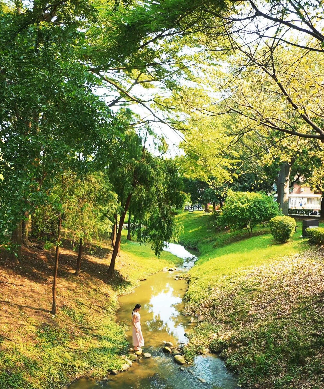 松丹達麗｜達麗建設-1