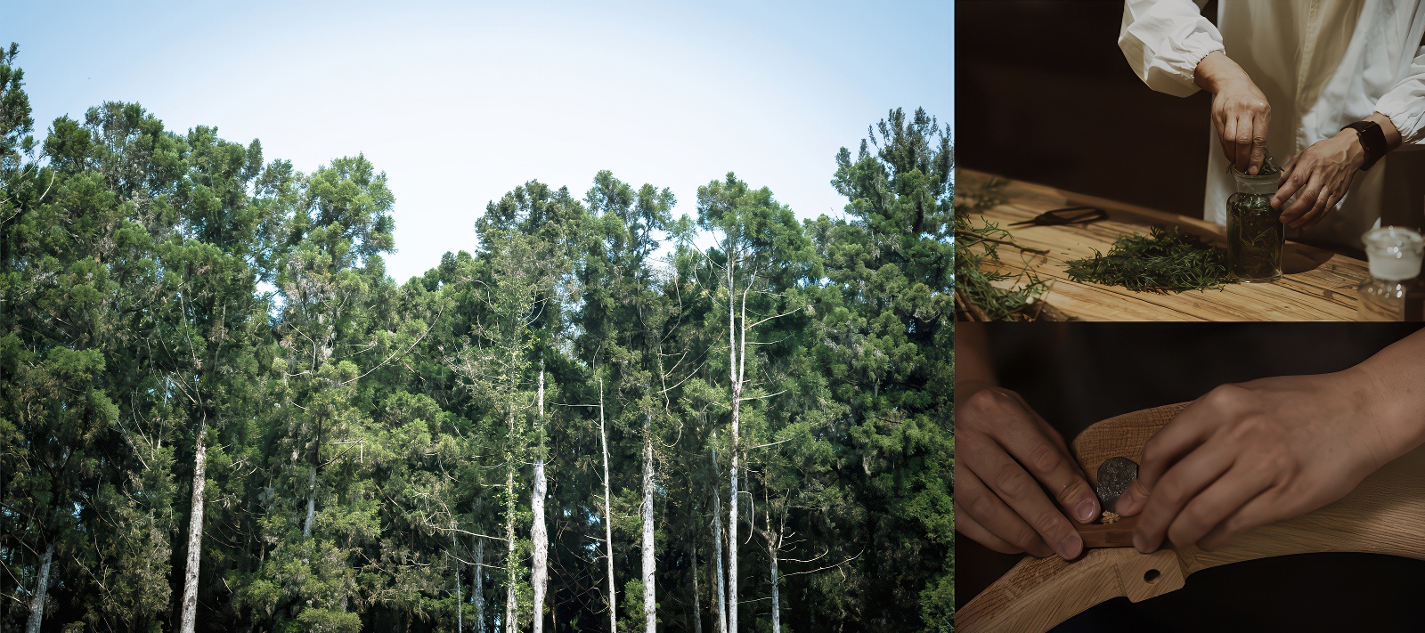 為空間帶來一絲溫潤的木質軟裝選品-6