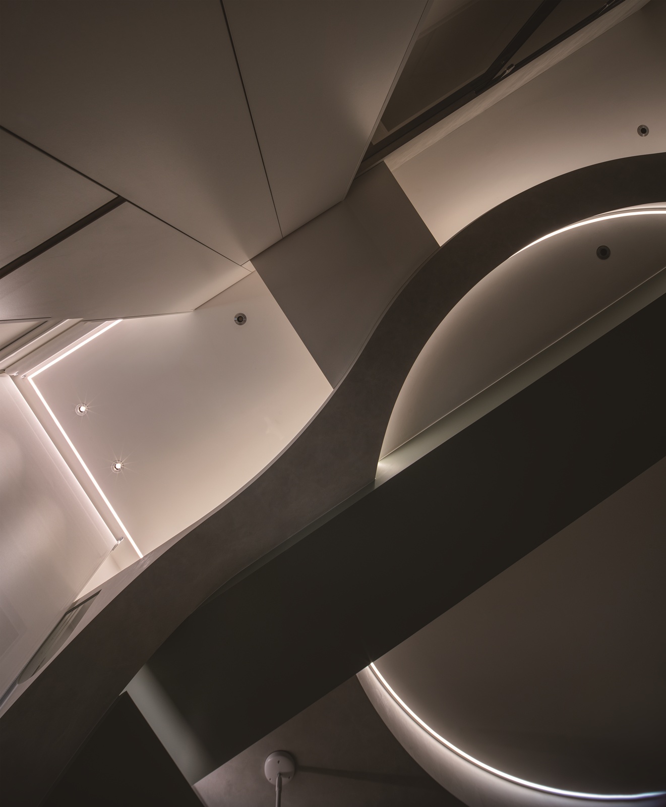 人貓之嶼 ｜ 逸喬室內設計 DECO TV 室內設計平台3