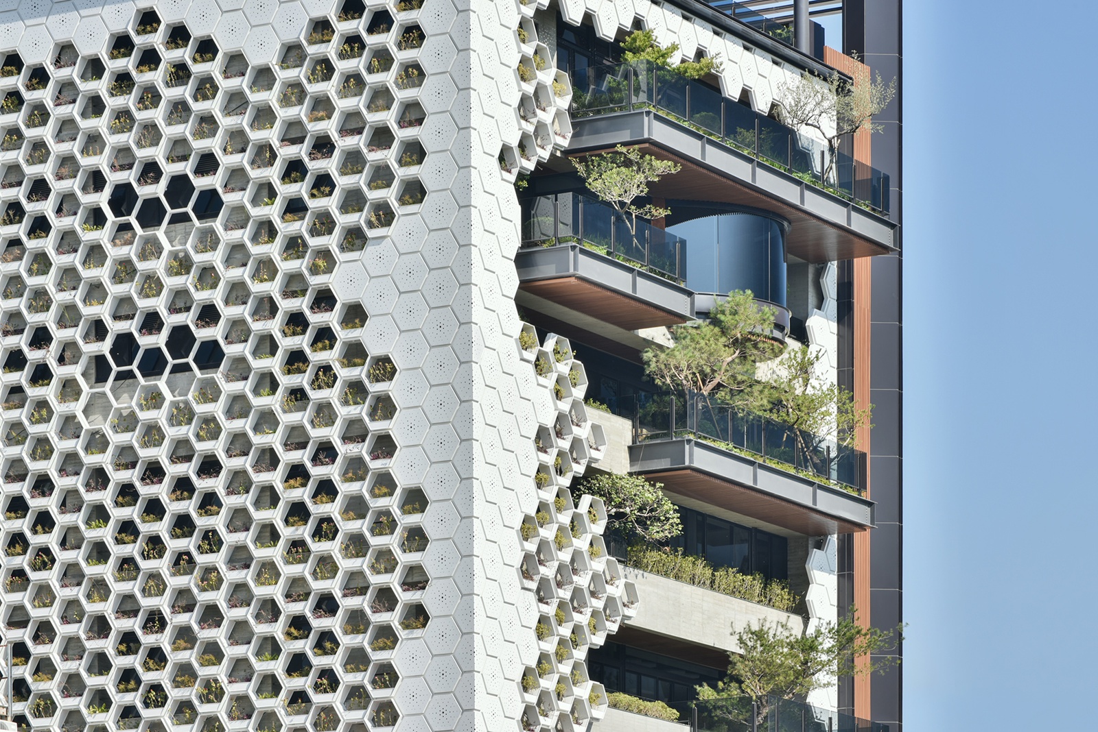 國際獎項代辦 ｜ 丰二三 ｜ 晨禎營造股份 DECO TV 室內設計平台2