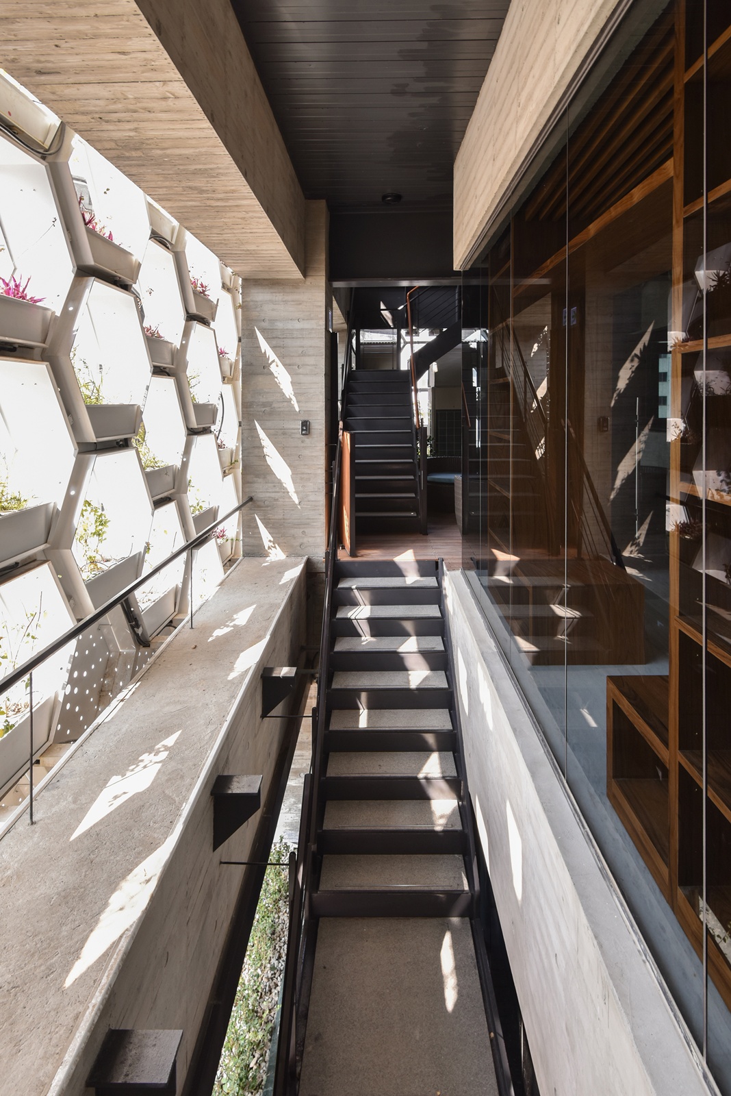 國際獎項代辦 ｜ 丰二三 ｜ 晨禎營造股份 DECO TV 室內設計平台5